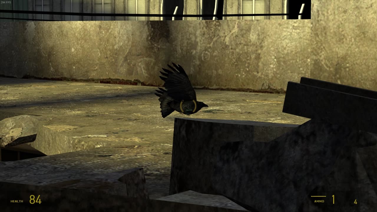 Funny bird glitch in hl2