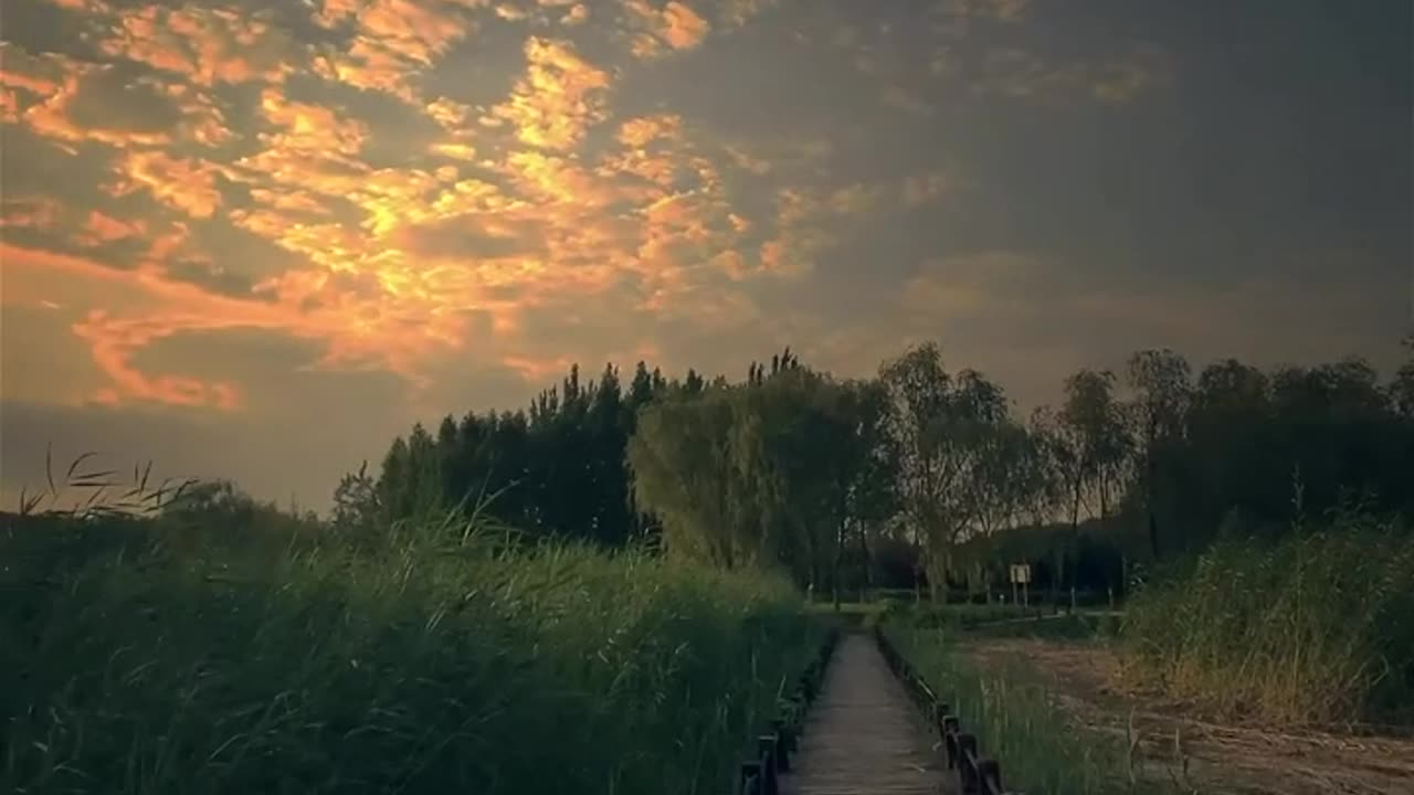 Peace
