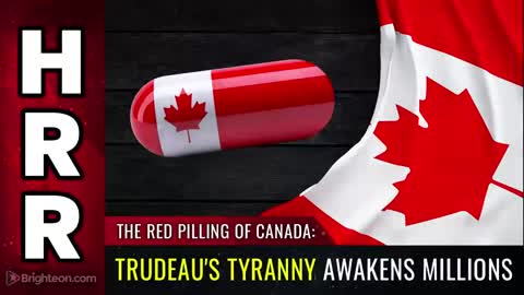 Special Report - The RED PILLING of Canada - Trudeaus Tyranny AWAKENS Millions