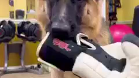 <> ANYA’S REMINDER KIT <>