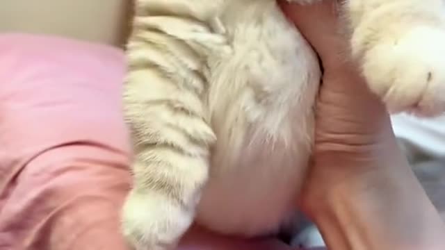 I don't even remember how many charging cables she bit me.