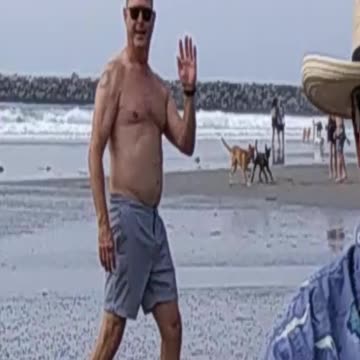 Dog Beach Photobomber