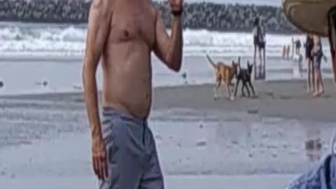 Dog Beach Photobomber