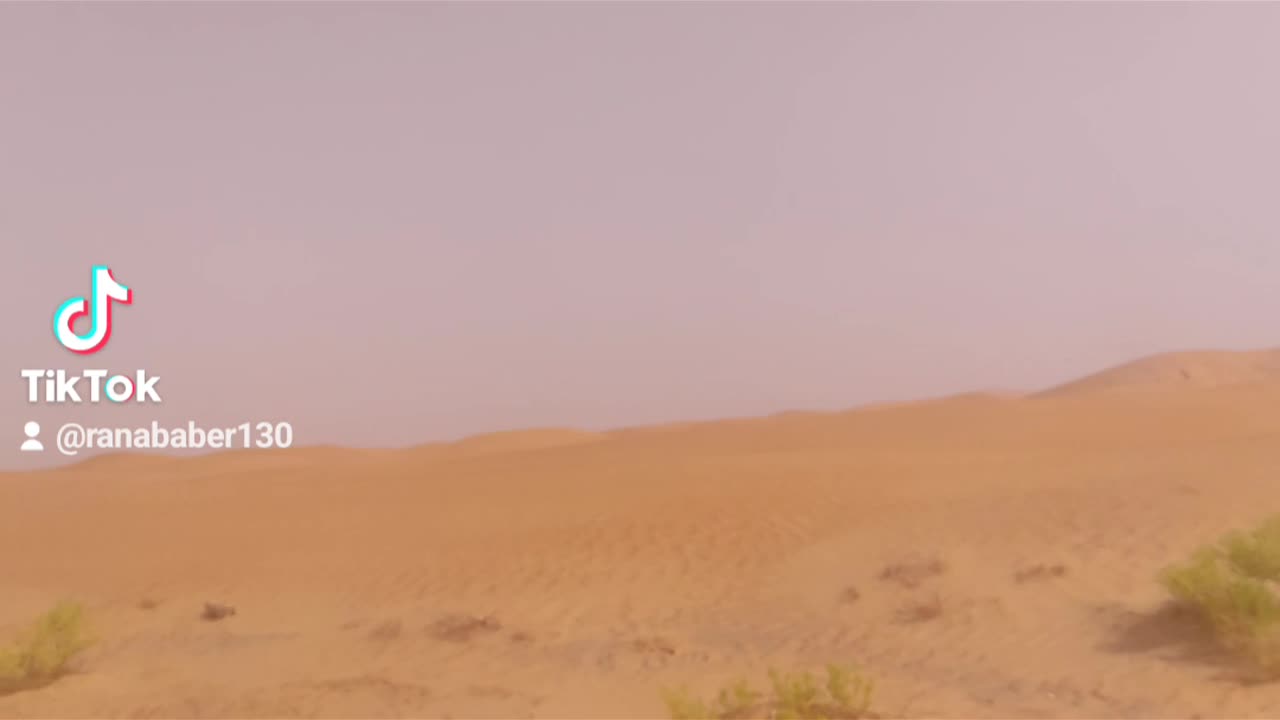 Desert of oman