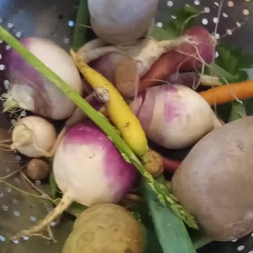 Jeff Landry sells out Louisiana farmers to Monsanto