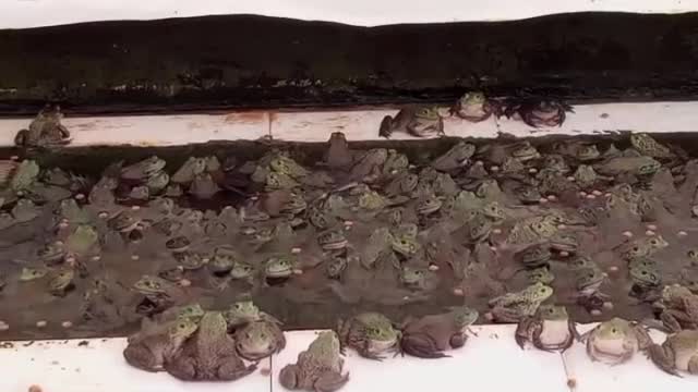 Medo- Tipo de mulheres.