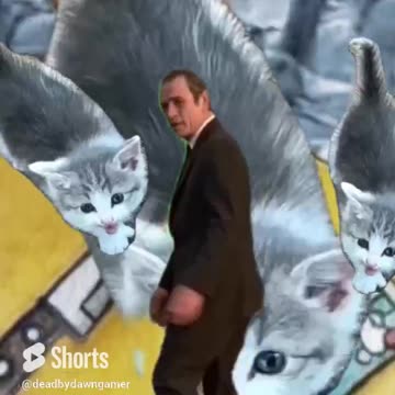 #Cuteness, #overload #cat life advice