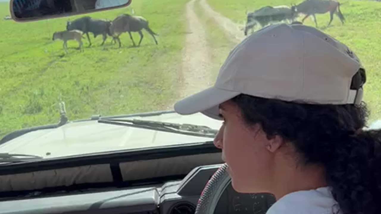 Michelle learning to drive safari Jeep