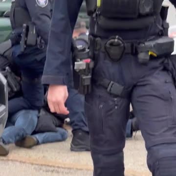 trAntifa Busted! Cries for help!