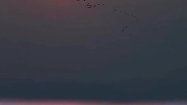 Love the Nature || Natural Beauty || relaxing music #nature #wildlife #4k