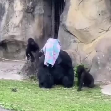 Gorella family enjoying