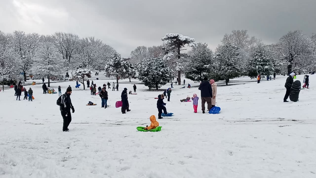 Snow Day at Owl's Head Park