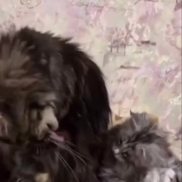 Parental guidance very important to child development