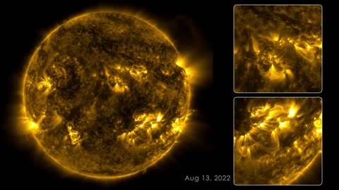 Sun 113 day