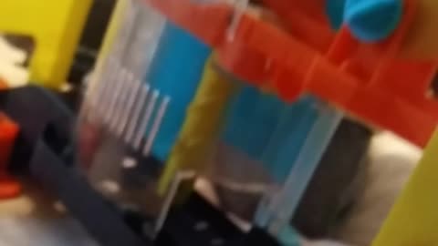 KIJU, KAMUKI AND AMARU VISITS