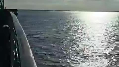 On The Waverley Boat going from Clacton on Sea Essex Pier to the river black water 04/10/2024