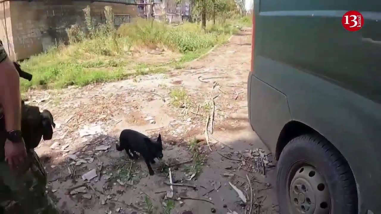 Police help civilians flee Ukrainian frontline town under fire