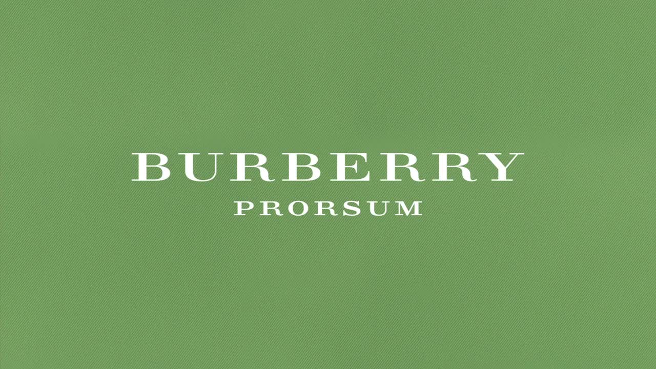 Explore the Burberry Prorsum S_S15 Show Inspirations