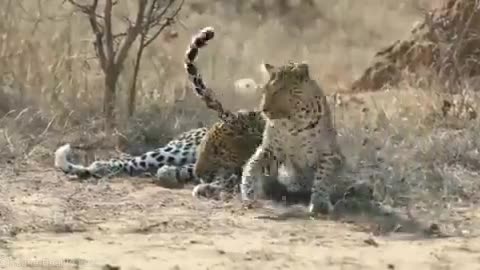 Waking up male for attention