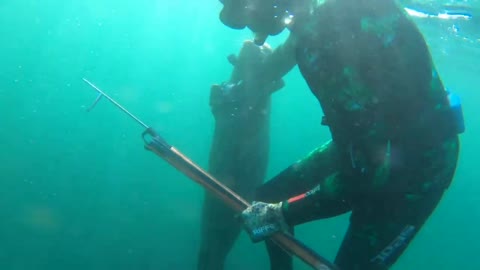 Guy Wearing Diving Suit Pets Seal Underwater