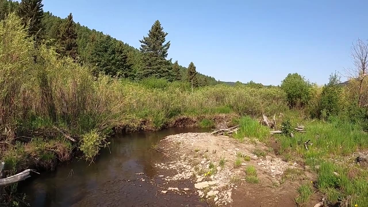 Surprise size brown from a tiny creek!