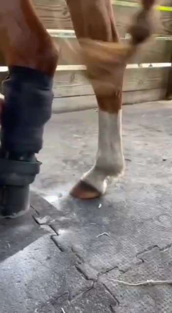 Anti-Loosh Video Number 202. LOOSH is real and bad. Explained below and watch the video