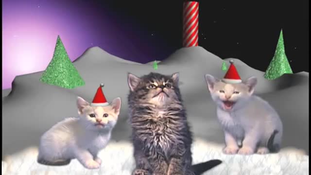 Jingle Cats - Silent night 10 HOURS