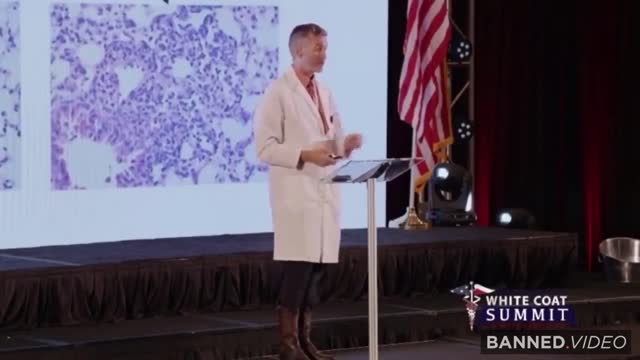 What vaccine does to your organs