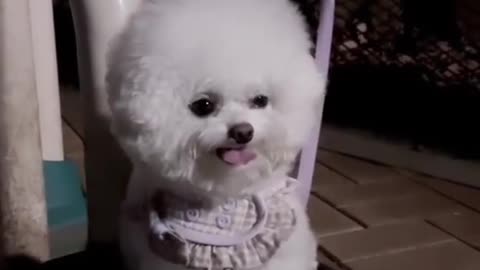 Beautiful little princess
