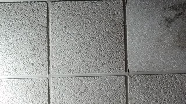 It is impossible for God to lie...1.28.2022