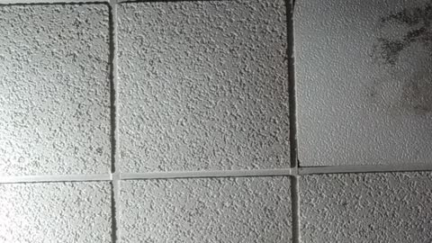 It is impossible for God to lie...1.28.2022