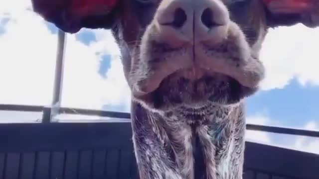 I can't answer the phone