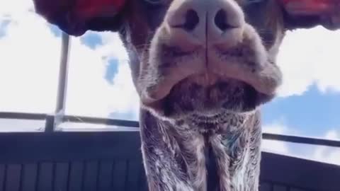 I can't answer the phone