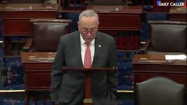 Watch Sen. Schumer Debate Himself On Changing The Rules Of The Filibuster