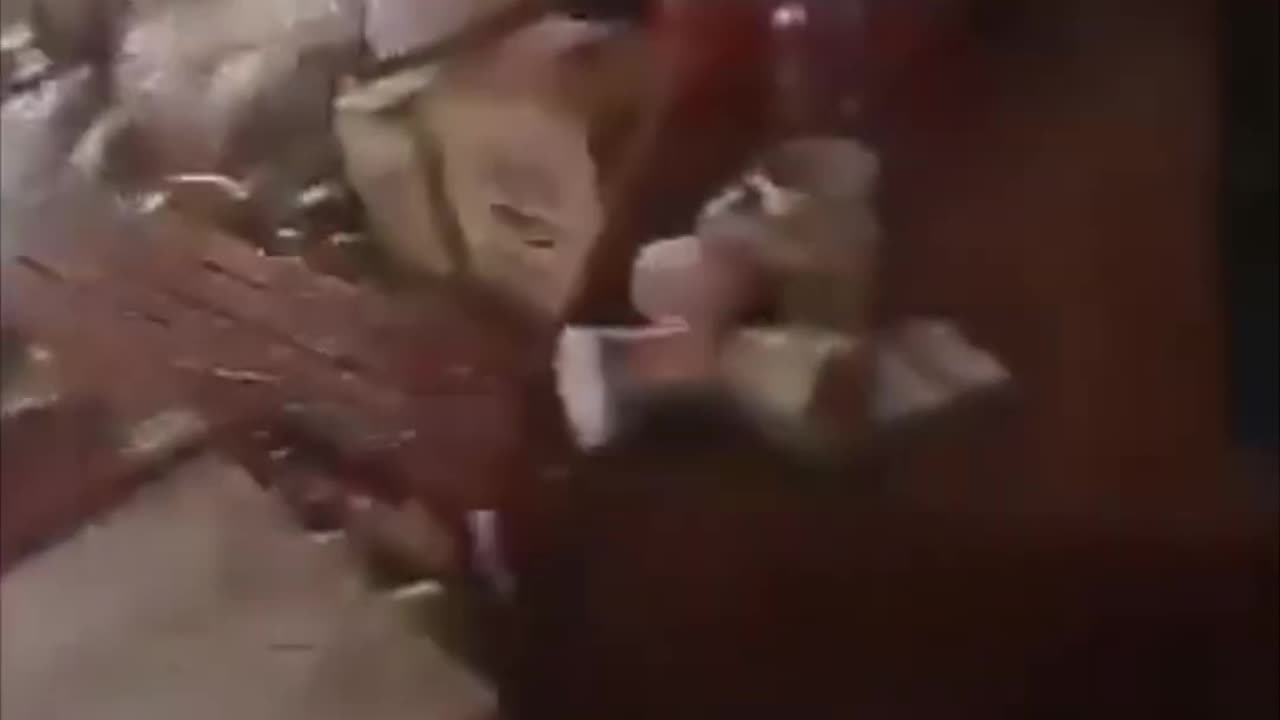 Incredible moments caught on camera in India! Most Viral Natural disasters