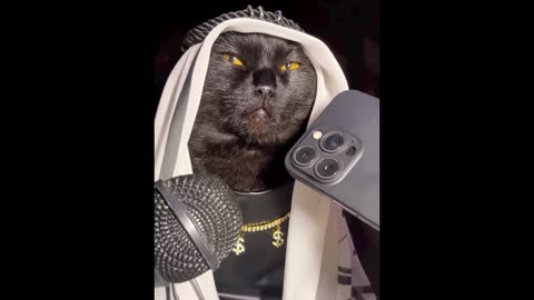 Just Cats and Dogs things