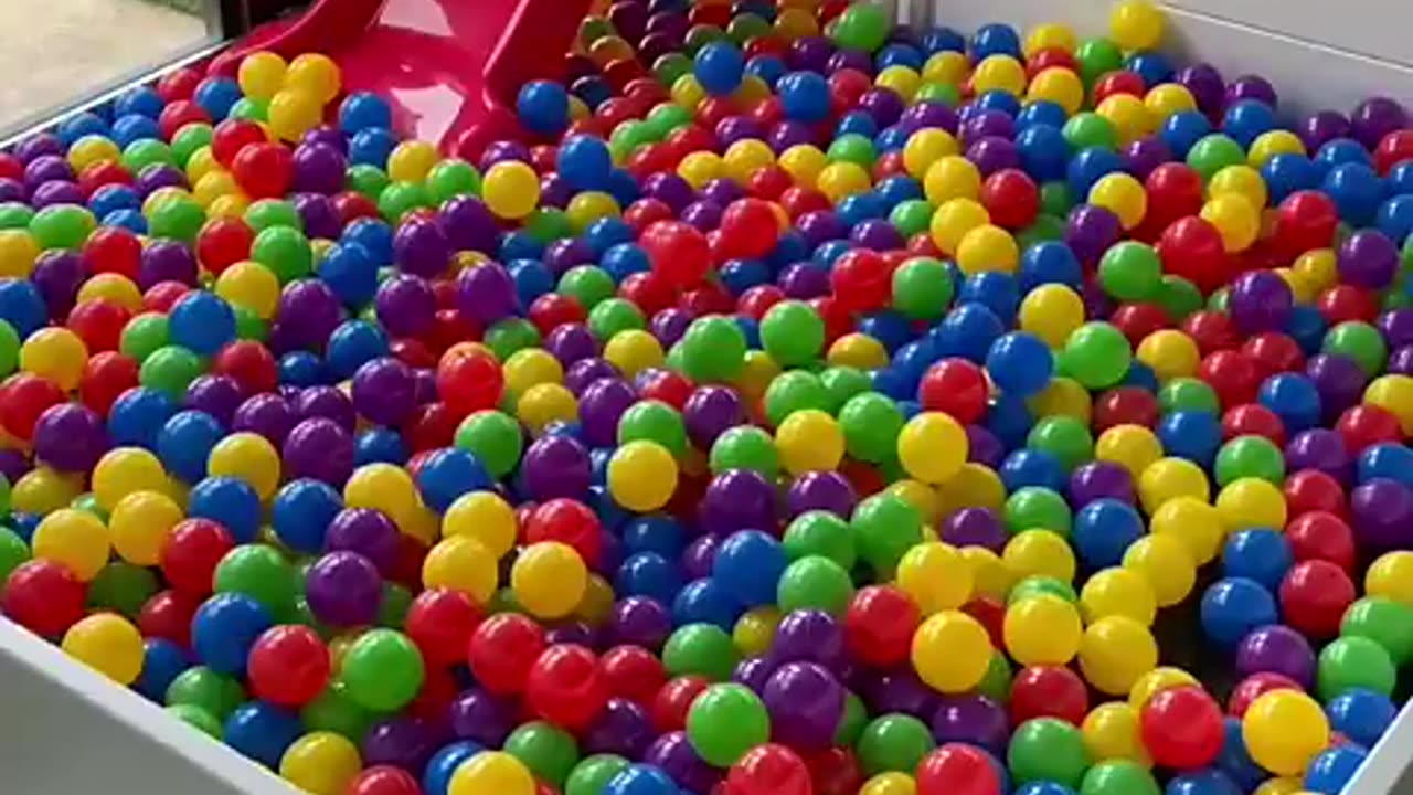 Building a Puppy Ball Pit! #cat #cute #kitten #pets #meow #videos #shorts #dog