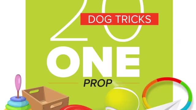 Tindrah 20:1 📦BOX 📦 Do More With Your Dog!