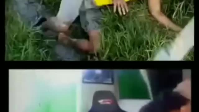 This is a beautiful and charming water-dwelling species