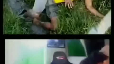 This is a beautiful and charming water-dwelling species