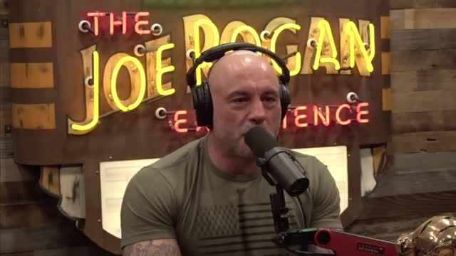 Joe Rogan: MAJOR Red Flags Before The $10 Billion Dollar FTX Collapse! & Polyamorous Meth Love Fest!