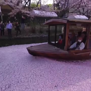 Lake in Tokyo, Japan - Joy Funny Factory