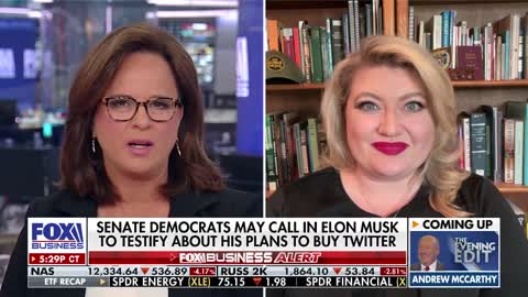 Democrats are bullying Elon Musk