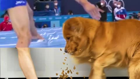 The Japanese gymnast stepped on dog food.