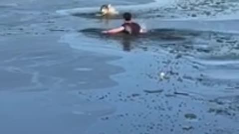 This men helps the dog in cold water