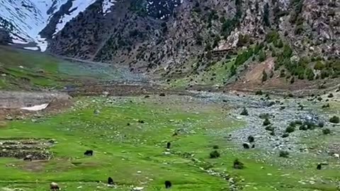 Beauty's Valley of KPK Pakistan