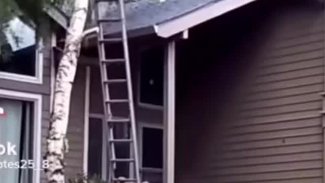Next time get a professional