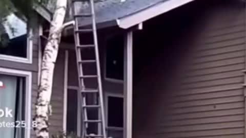 Next time get a professional
