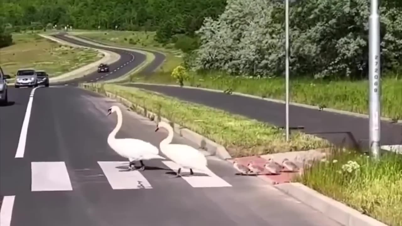 Funny