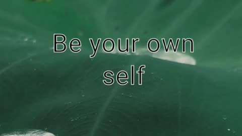 Be your own self